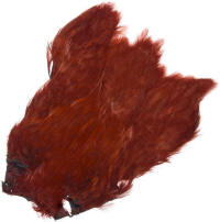 Wapsi Salmon Fly Hen Necks-Fiery Brown