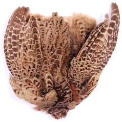 Wapsi Ringneck Hen Pheasant Skin