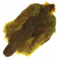 WAPSI Hungarian Partridge Whole Skins-Yellow