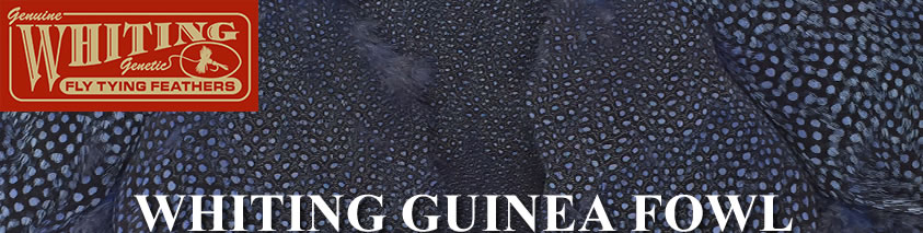 Whiting Guinea Fowl Full Capes