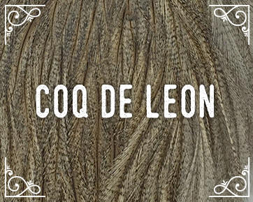 Whiting Farms Coq De Leon Feathers & Hackle
