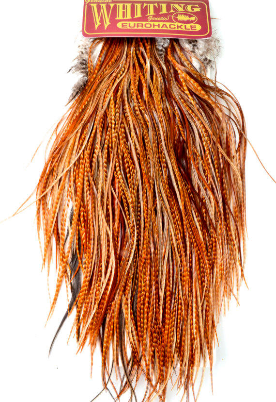 Whiting Euro Hackle