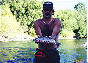 Yakima trout