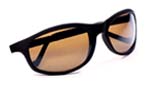 Polarized Polycarbonate