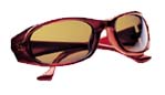 Polarized Polycarbonate