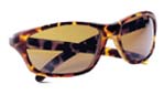 Polarized Polycarbonate