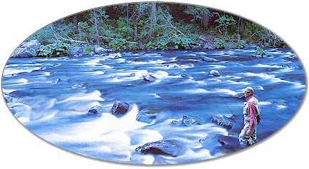Airflo Fly Lines....Order Online From "Worley-Bugger Fly Co."