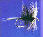 The Black Bi-Visable