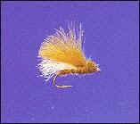 C.D.C. Caddis