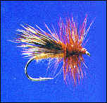 Cinnamon Caddis