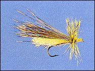 Clark's Yellow Stone