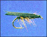 Early Caddis