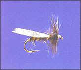 Hemmingway Caddis