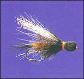 Henry's Fork Salmon Fly