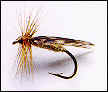 King River Caddis