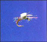 Para-Pheasant Tail