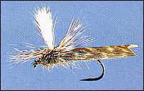 Para-Caddis