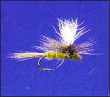 Para-Blue Wing Olive (B.W.O.)