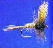 Standard Dark Hendrickson