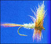 Standard Dark Cahill