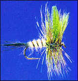 Standard Green Drake