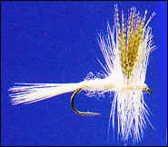 Standard Light Cahill