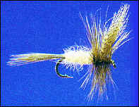 Standard Light Hendrickson