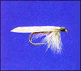 Tent Wing Caddis