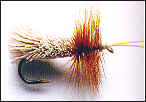 Goddard Caddis