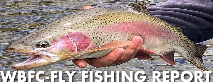 Yakima River Fly Fishing Reports