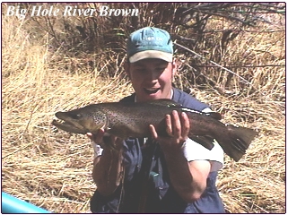 WOW>>>>>Huge Big Hole Brown Trout!