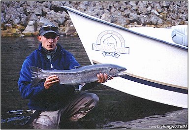 Luke & Summer Steelie....!   Steelhead On The Fly