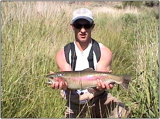 A Nunya Creek Rainbow.....Awesome Catch From Out-Of-State Nate!