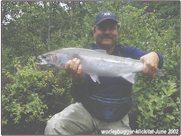 Steelhead On The Fly!!!
