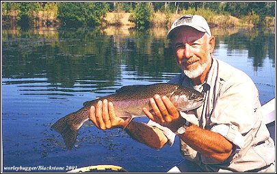 Blackstone Lake Rainbow....Come Fish This Excellent Private Lake With WBFC This Fall!