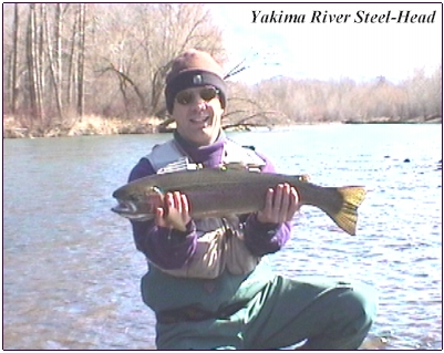 A Fish Of A Life-Time On The Yakima!