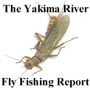 The Yakima River Fly Fishing Report....Worley-Bugger Fly Co. Your Complete Yakima River Outfitter!