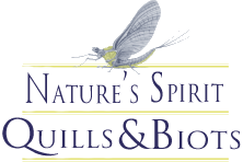 Nature's Spirit Quills And Biots