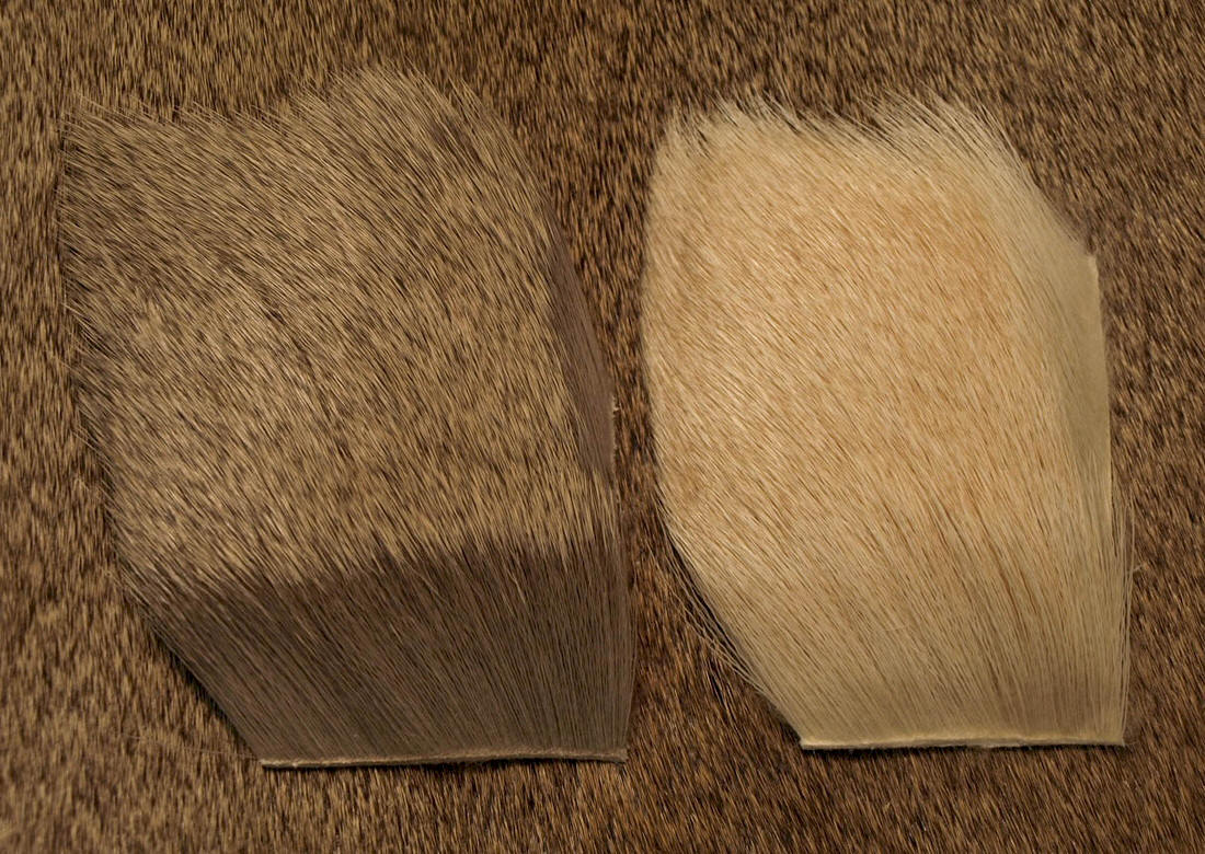 Nature's Spirit Premium Yearling Elk Hair