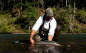 KLICKITAT RIVER WILD STEELHEAD