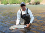 KLICKITAT RIVER WILD STEELHEAD