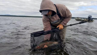 Steve Worley-Owner/Guide-Worley Bugger Fly Co