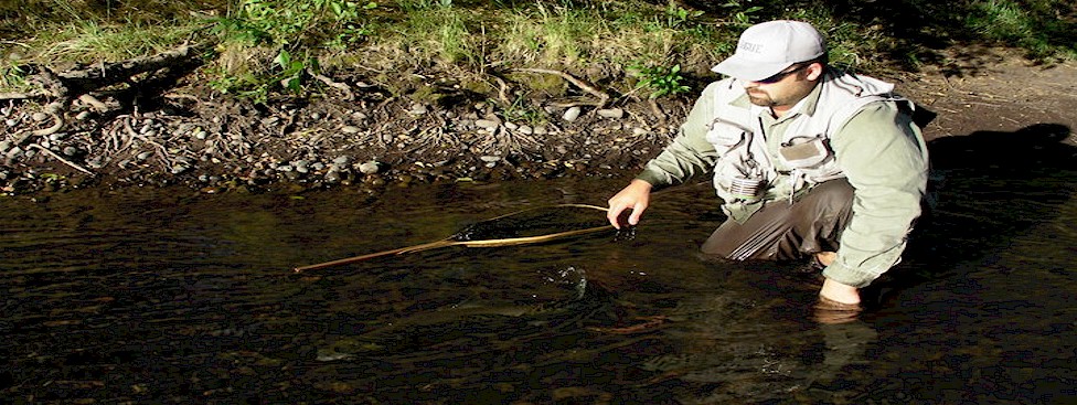 Klickitat River Wild Steelhead Release