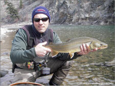 Methow River Bull Trout