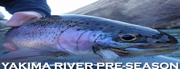 Yakima River Pre-Season Fly Fishing