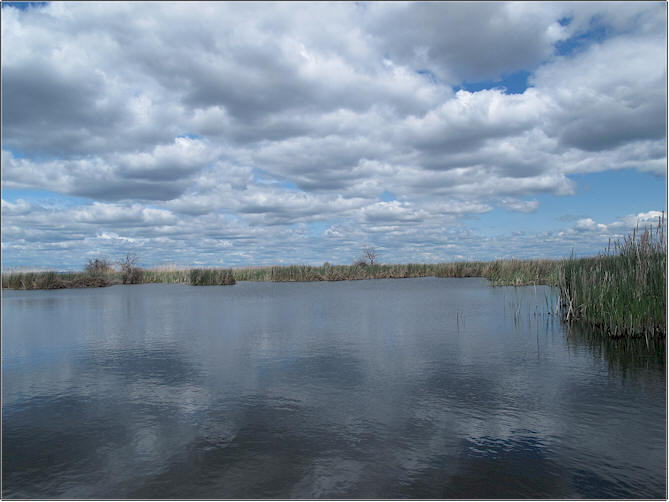 Sand Lakes, Washington-A Private Bass Fishery