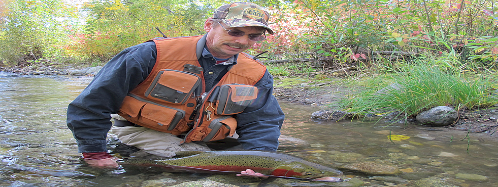 Wenatchee River Wild Steelhead