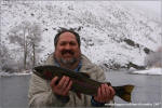 Yakima River Wild Rainbow