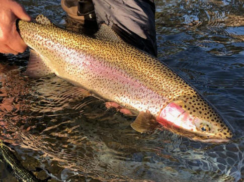 Where to Go Fly Fishing in Washington in September