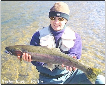 A Yakima River Steel-Head.....A Fish Of A Life-Time!